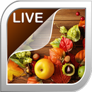 Herbst Live Hintergrund APK