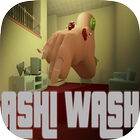 Ashi Wash icône