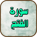 سورة الفتح _ تلاوات تهدئ الأعصاب