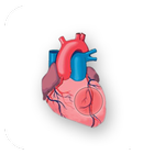 EASY HEART आइकन