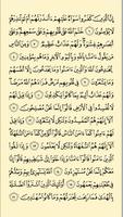 برنامه‌نما AI-Quran Pro (HD Audio +Translation +Prayer Times) عکس از صفحه