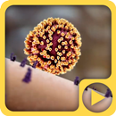 Medical Animation Cell 3D LWP APK