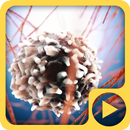 Cell World 3D LWP APK