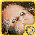 Frightening Chernobyl 4K LWP