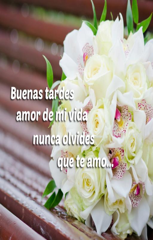 Feliz Tarde For Android Apk Download Feliz Tarde For Android Apk Download