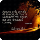 Frases de Jesus para Nosotros আইকন