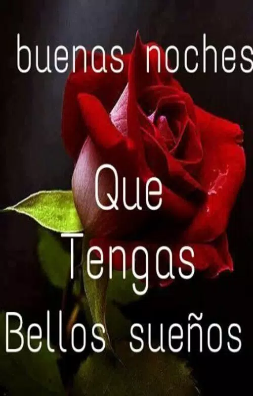 Tải xuống APK Imagenes Buenas Noches cho Android Tải xuống APK Imagenes Buenas Noches cho Android