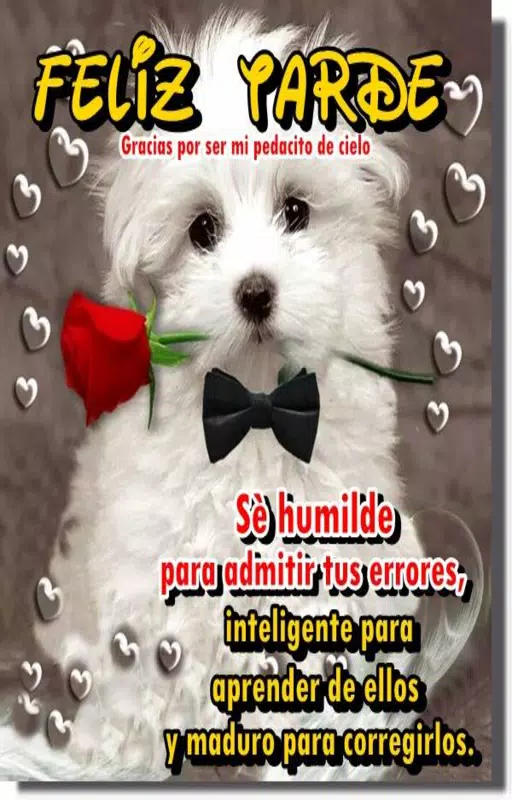 Descarga de APK de Imagenes Buenas Tardes para Android Descarga de APK de Imagenes Buenas Tardes para Android
