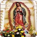Imagenes d Virgen de Guadalupe APK