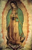 Mexico Virgen de Guadalupe capture d'écran 2