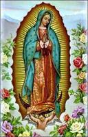 Mexico Virgen de Guadalupe capture d'écran 3