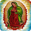 Virgen de Guadalupe Amor 2018 APK
