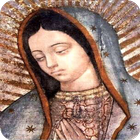 Virgen de Guadalupe Foto Gratis иконка