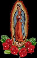 Virgen de Guadalupe Foto Gratis screenshot 1