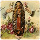 Virgen de Guadalupe mas Grande-icoon