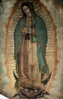 Virgen de Guadalupe por Siempre 2018 스크린샷 3