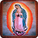 Virgen de Guadalupe Reyna de Mexico APK