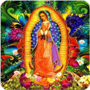 Virgen de Guadalupe Tepeyac APK