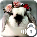 Hare Rabbit Lock