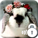 Hare Rabbit Lock APK