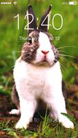 Hare Rabbit HD Lock plakat