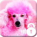 Pink Style Dog  HD Lock
