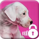 Pink Dog Style Lock icon