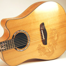 Acoustic Guitar Design APK