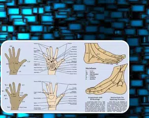 download Agopuntura APK