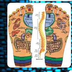 download Agopuntura APK