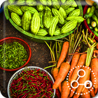 Vegan Wallpaper Fruits & Vegetables Pattern Lock icon