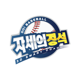 자세의 정석: 야구 biểu tượng