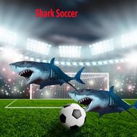 Dolphin Stars Soccer poster