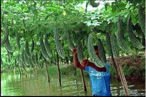 1 Schermata L'agricoltura moderna