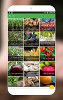 زراعة الخضروات-الزراعة المنزلية‎ capture d'écran 1
