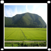Agriculture Farming APK
