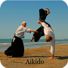 Aikido icon