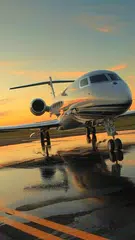 download Aereo Sfondo Animato APK