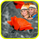 صورتك في اطارات ورود للحبيب APK