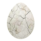 Crack Egg icône