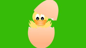 Egg Plakat