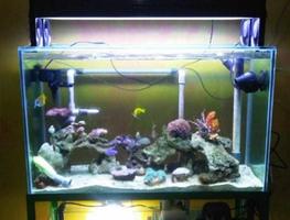 Aquarium Design ภาพหน้าจอ 3