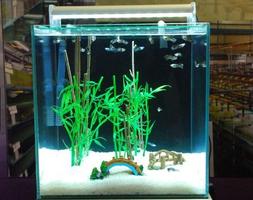 Aquarium Design ภาพหน้าจอ 2