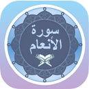 APK سورة الأنعام