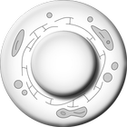 Leukocyte ไอคอน