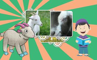 Hafiz Series : Kambing 스크린샷 2