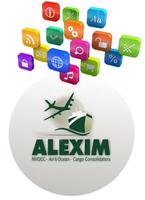 Alexim Scan Poster