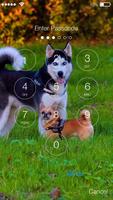 Cute Chihuahua Husky Dog Puppy Screen Lock โปสเตอร์