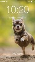 Cute Chihuahua Husky Dog Puppy Screen Lock capture d'écran 2