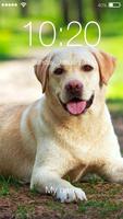 Cute Dogs Labrador HD Lock Screen Pin poster